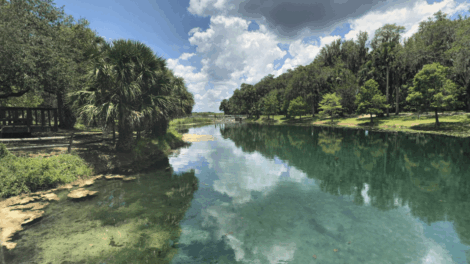 Stirling Heights Nature Center